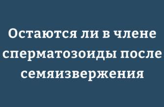 остаются ли в члене сперматозоиды после семяизвержения