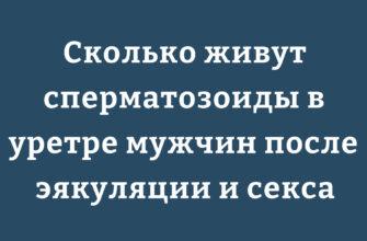 Продолжительность жизни сперматозоидов в уретре мужчины после эякуляции