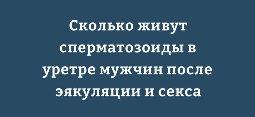 Продолжительность жизни сперматозоидов в уретре мужчины после эякуляции