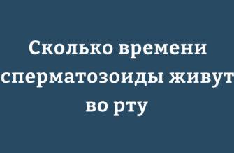 Сколько времени сперматозоиды живут во рту