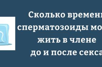 Продолжительность жизни сперматозоидов в разных частях полового члена