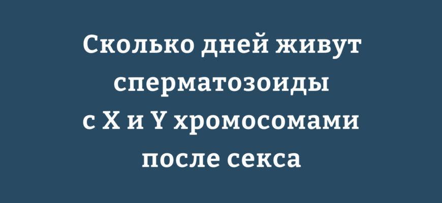 Сравнение продолжительности жизни сперматозоидов с X и Y хромосомами