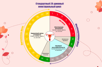 Календарь женского цикла с отмеченными днями фертильности до и после месячных