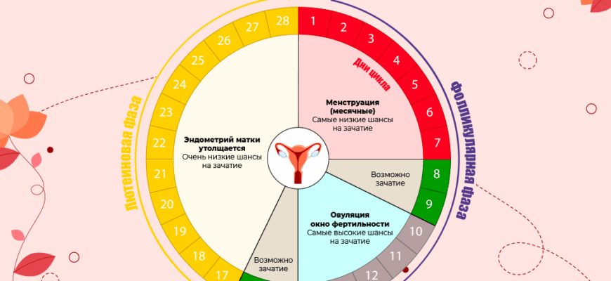 Календарь женского цикла с отмеченными днями фертильности до и после месячных