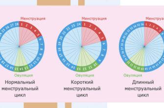 График менструального цикла с отмеченными фертильными днями