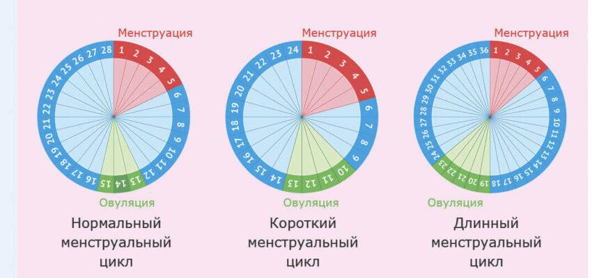 График менструального цикла с отмеченными фертильными днями