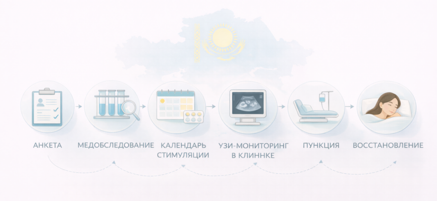 Как стать донором яйцеклетки в Казахстане: этапы донорства от заявки до пункции