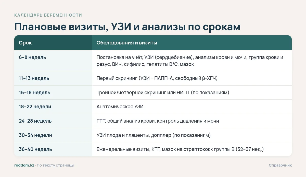 Инфографика: плановые визиты, УЗИ и анализы по срокам беременности